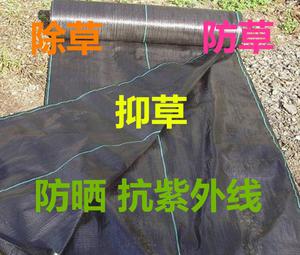 黑色除草布抑草布大棚防草布果園防草布除草布?jí)|園藝防草地布土工布